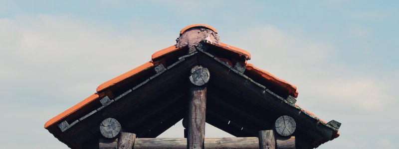 Měnič obrázků - fotografie